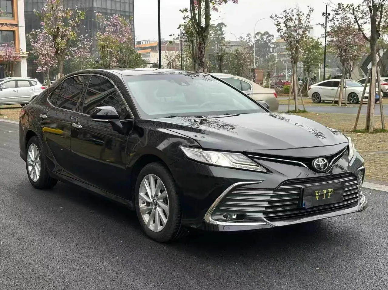 Toyota 2021 Camry 2.0G Stepless Deluxe Edition Automatic Gear 3