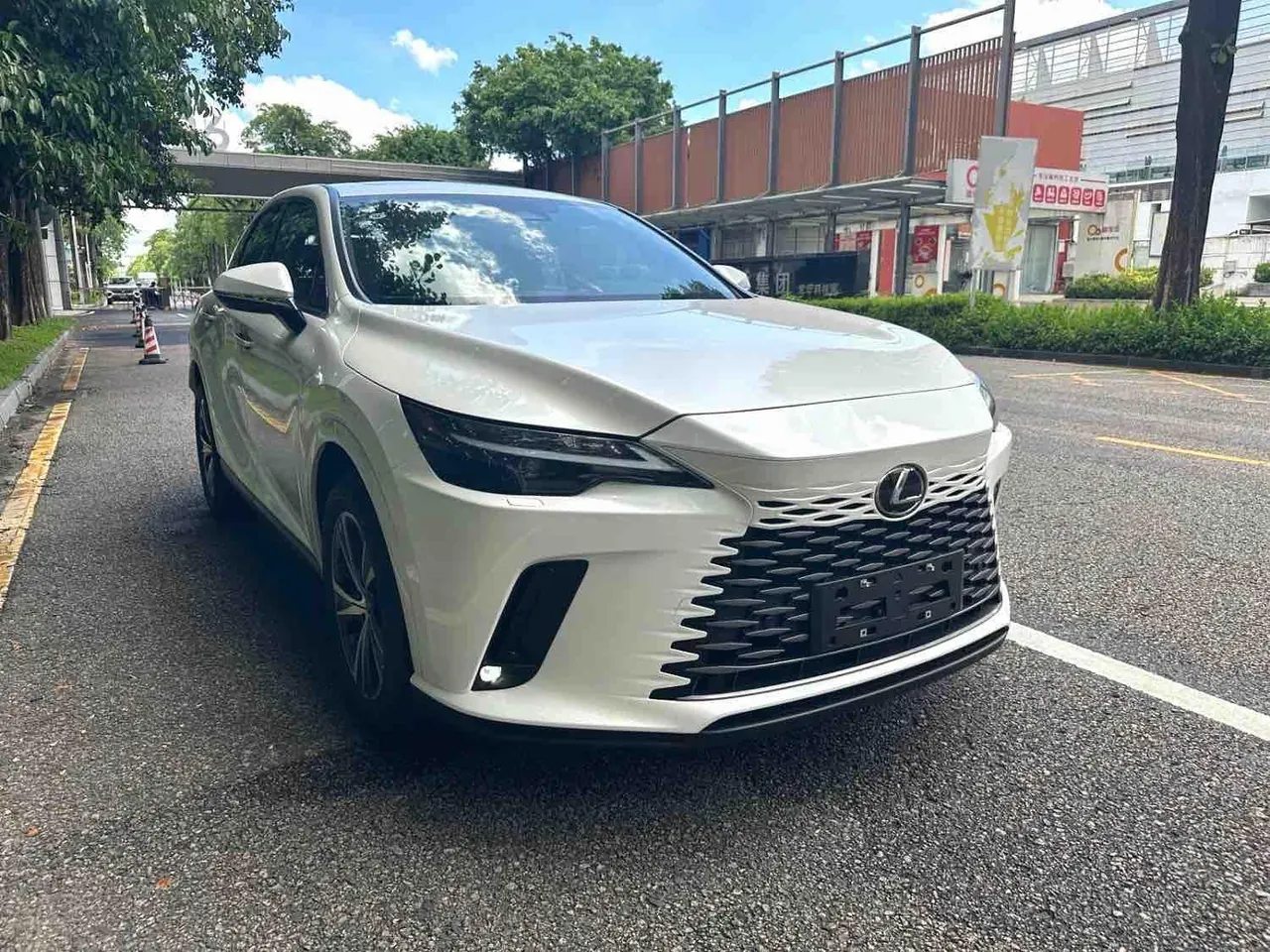 Lexus RX (Imported) 2026 RX300 2.0T Four-wheel Drive Edition Automatic Gear 3