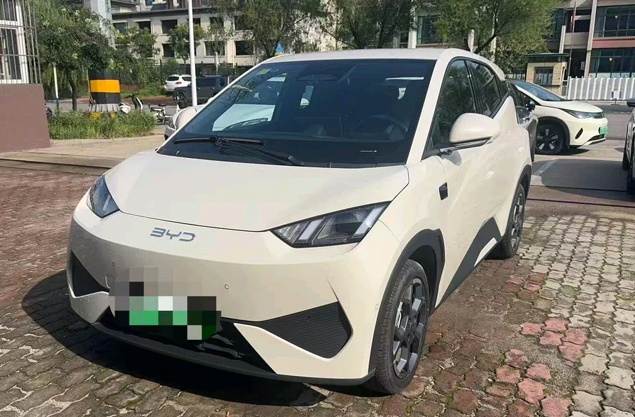 Open image lightbox: BYD 2025 Seagull Smart Driving Edition 305km Free Edition Automatic Gear