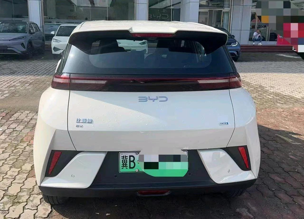 BYD 2025 Seagull Smart Driving Edition 305km Free Edition Automatic Gear 4