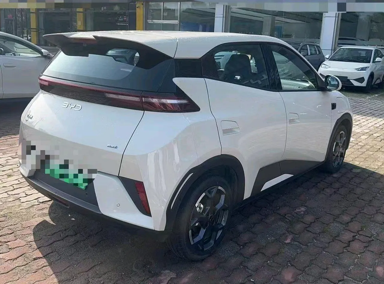 BYD 2025 Seagull Smart Driving Edition 305km Free Edition Automatic Gear 6
