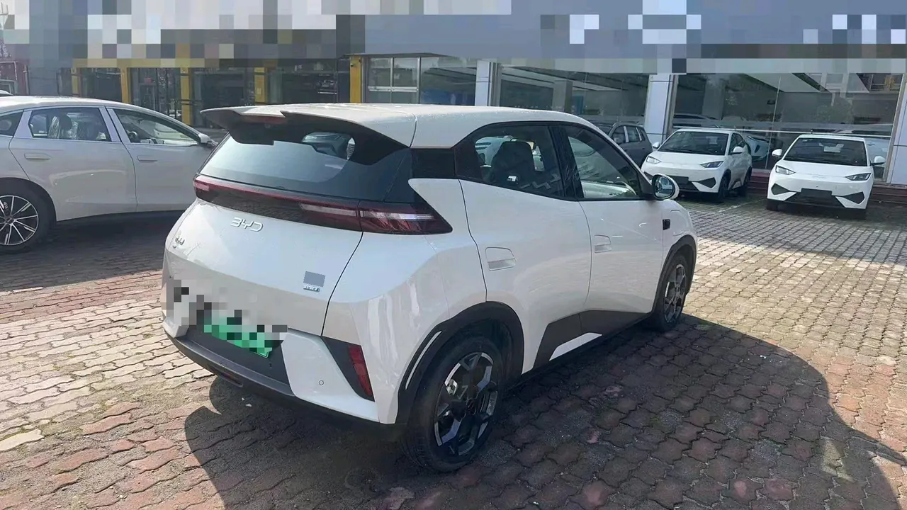 BYD 2025 Seagull Smart Driving Edition 305km Free Edition Automatic Gear 7