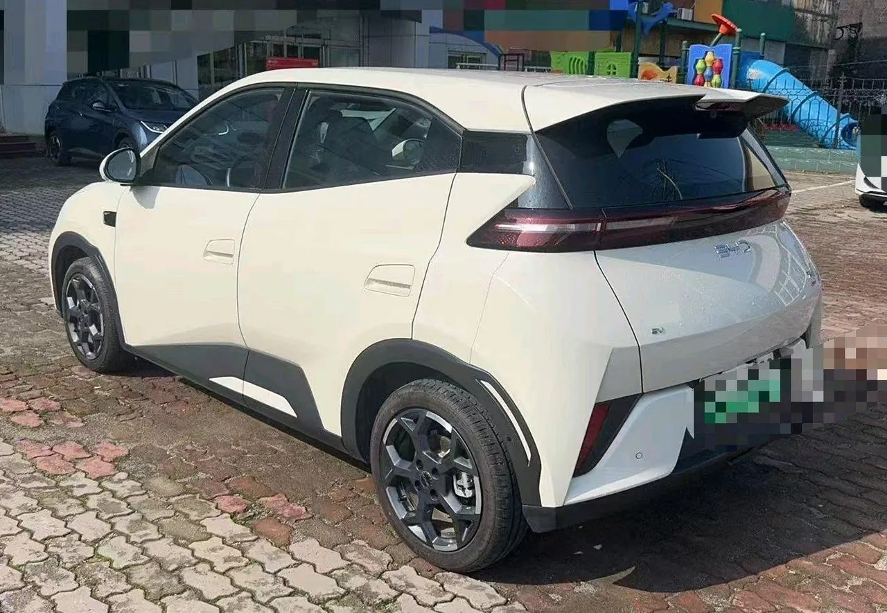 BYD 2025 Seagull Smart Driving Edition 305km Free Edition Automatic Gear 8