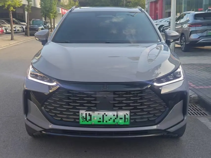 BYD Tang New Energy 2025 Tang DM-i 1.5T Stepless 115KM Honorable Automatic Gear 2