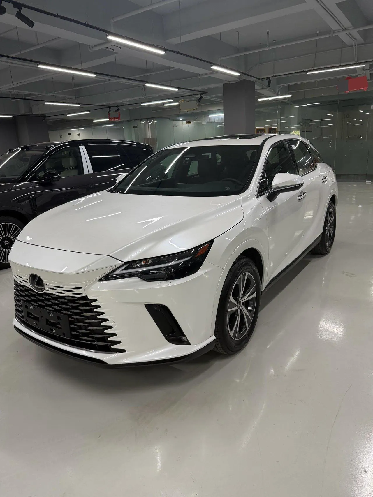 Lexus RX (Imported) 2026 RX300 2.0T Four-wheel Drive Edition Automatic Gear - View 1