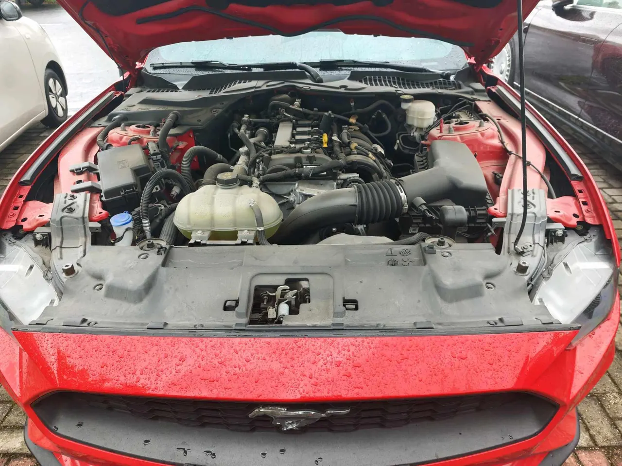 Ford Yema (Imported) 2021 Yema S 2.3T EcoBoost Automatic 5