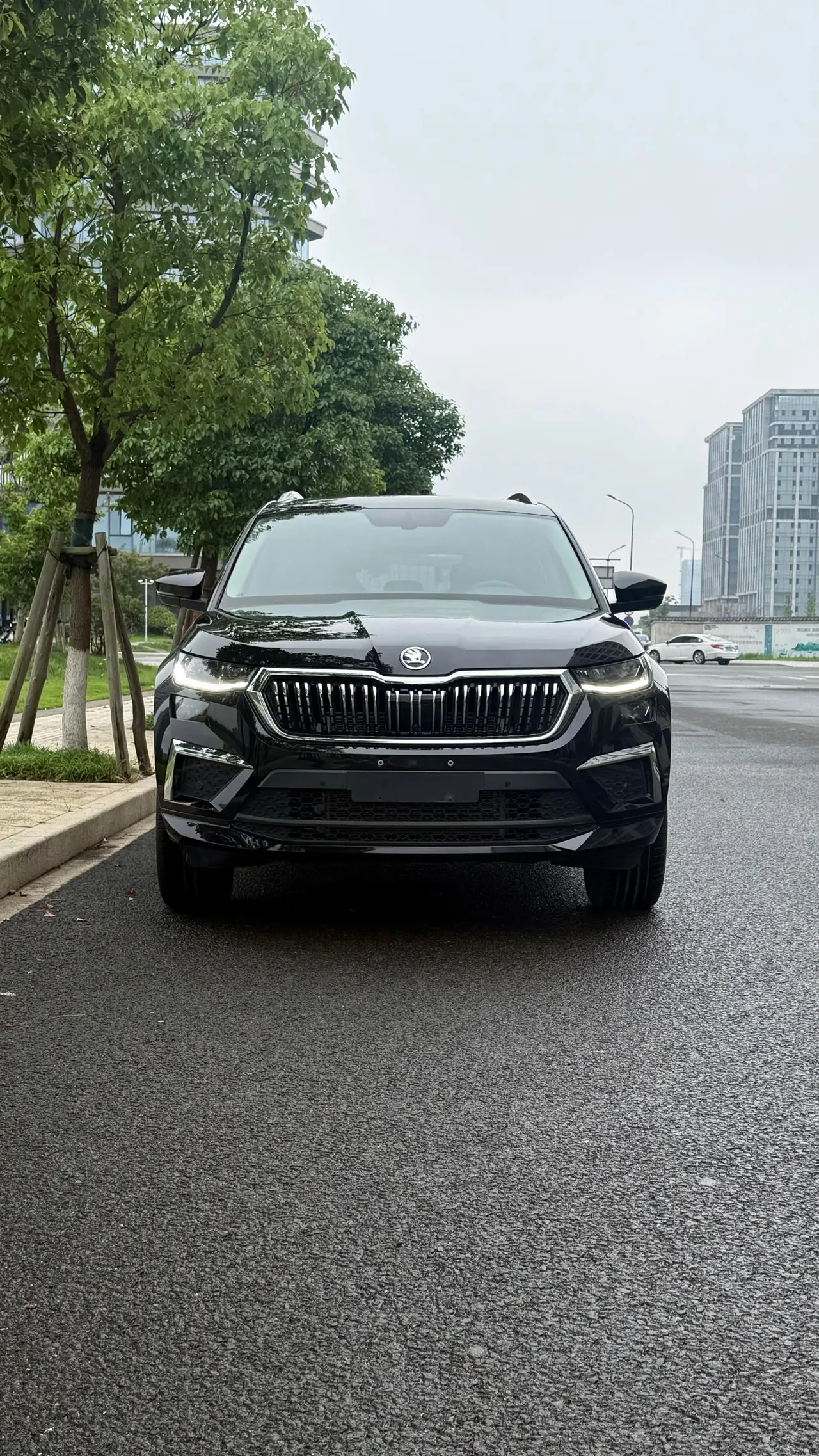 Skoda 2022 Kodiak 2.0TSI TSI 16500.00g Drive Luxury Edition 5-seat Automatic Gear 2