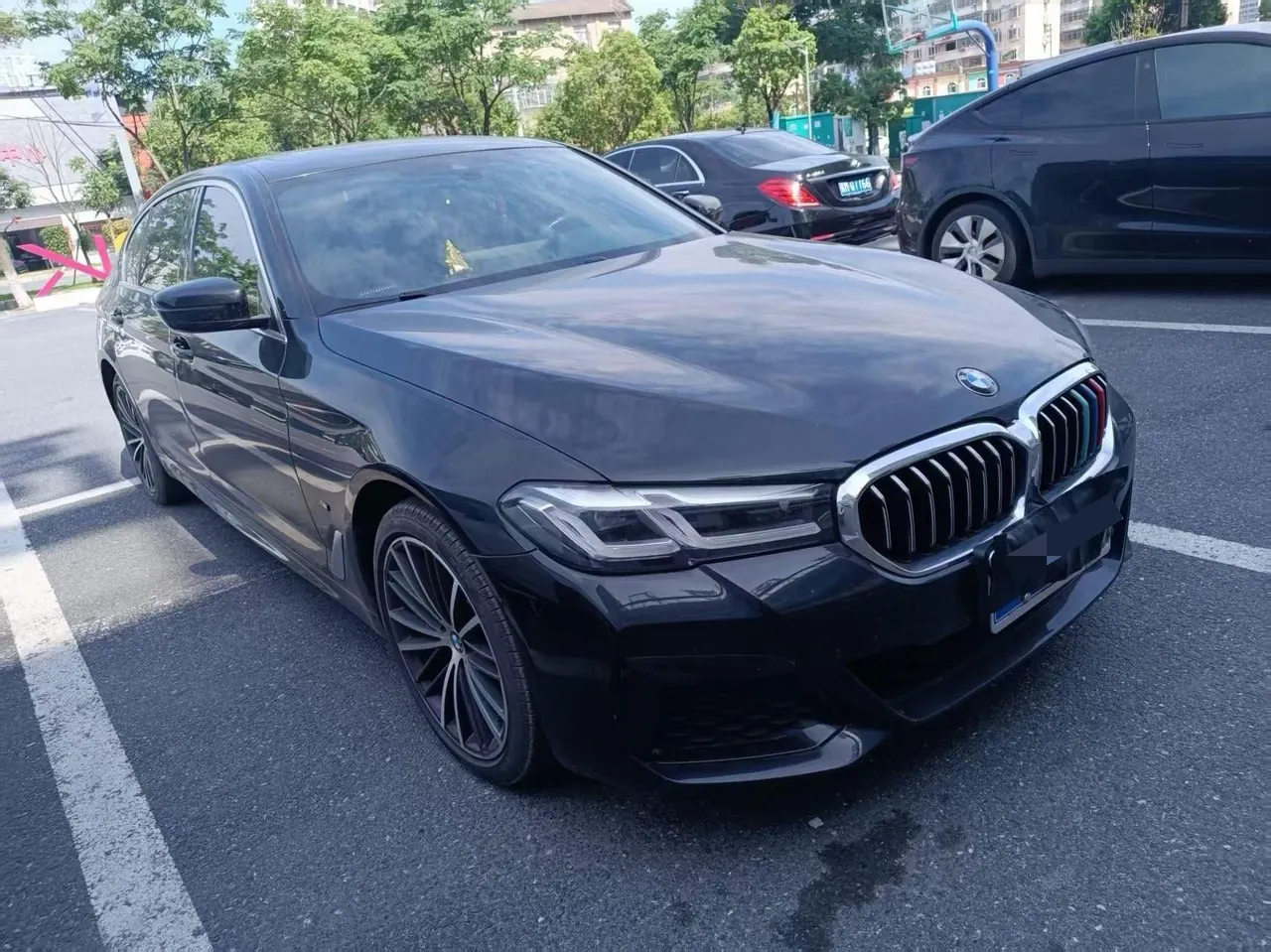 BMW 5 Series 2021 530Li 2.0T Leading M Sports Suit Automatic Gear 2