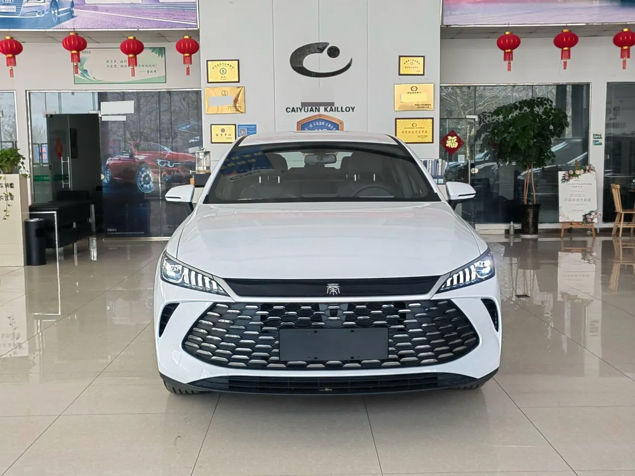 BYD 2026 Qin PLUS DM-i 1.5 CVT 128km Entry-Level Automatic 2