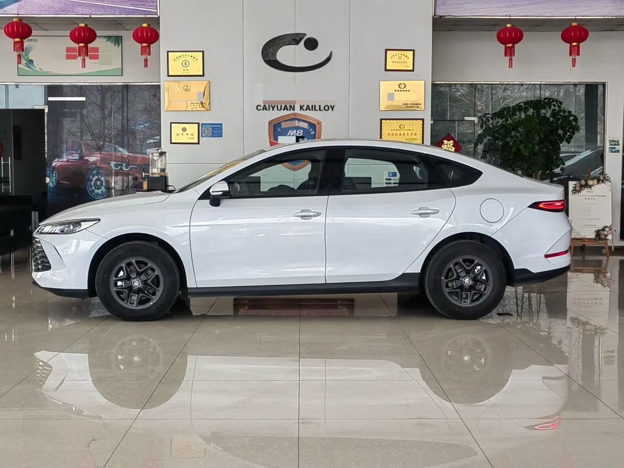 BYD 2026 Qin PLUS DM-i 1.5 CVT 128km Entry-Level Automatic 3