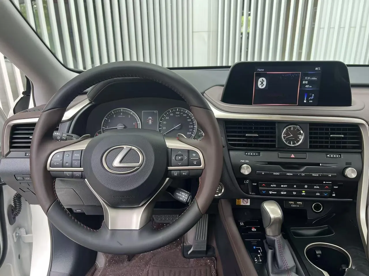 Lexus RX (Imported) 2020 RX300 2.0T Four-wheel Drive Elegant Automatic Gear 8