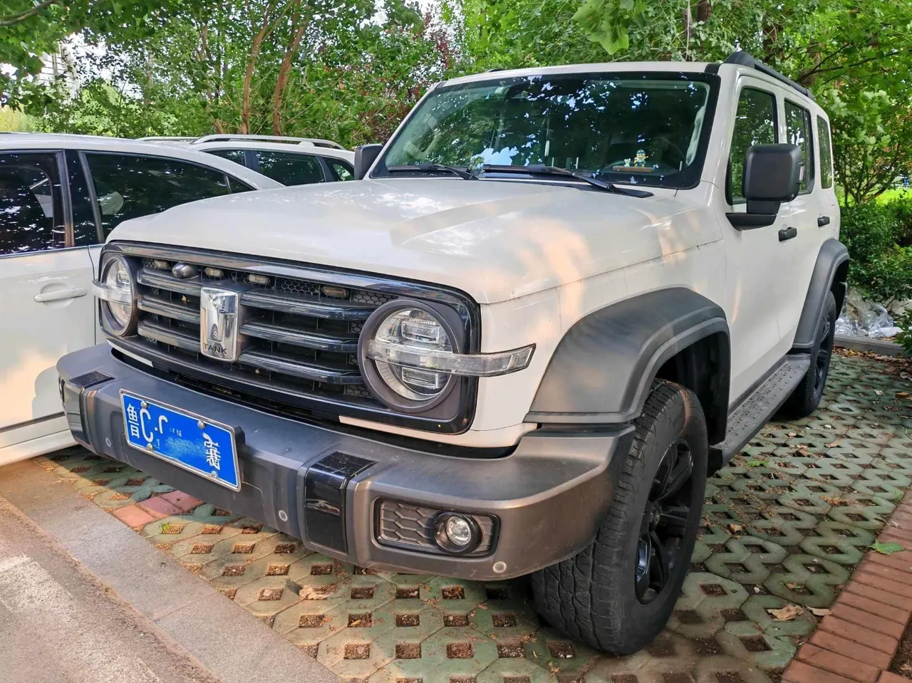 Открыть галерею: Tank 2021 Tank 300 2.0T Off-road Conqueror Automatic