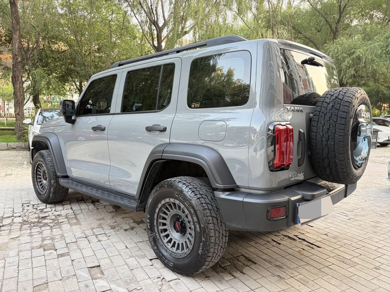Tank 2021 Tank 300 2.0T Off-road Conqueror Automatic 5