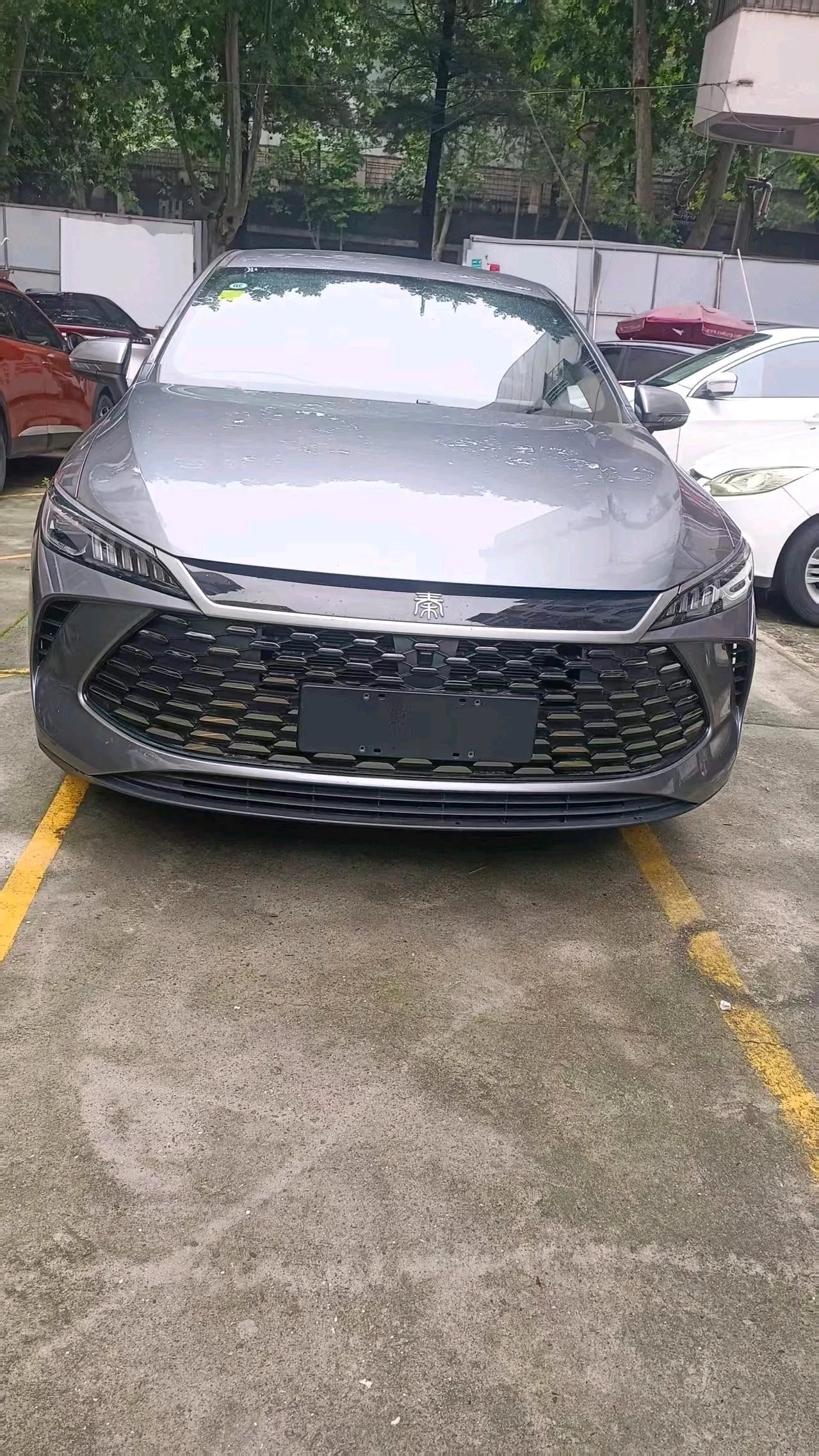 BYD 2026 Qin PLUS DM-i 1.5 CVT 128km Entry-Level Automatic 2