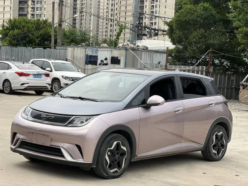 BYD 2021 Dolphin 405km Fashion Edition Automatic - View 1