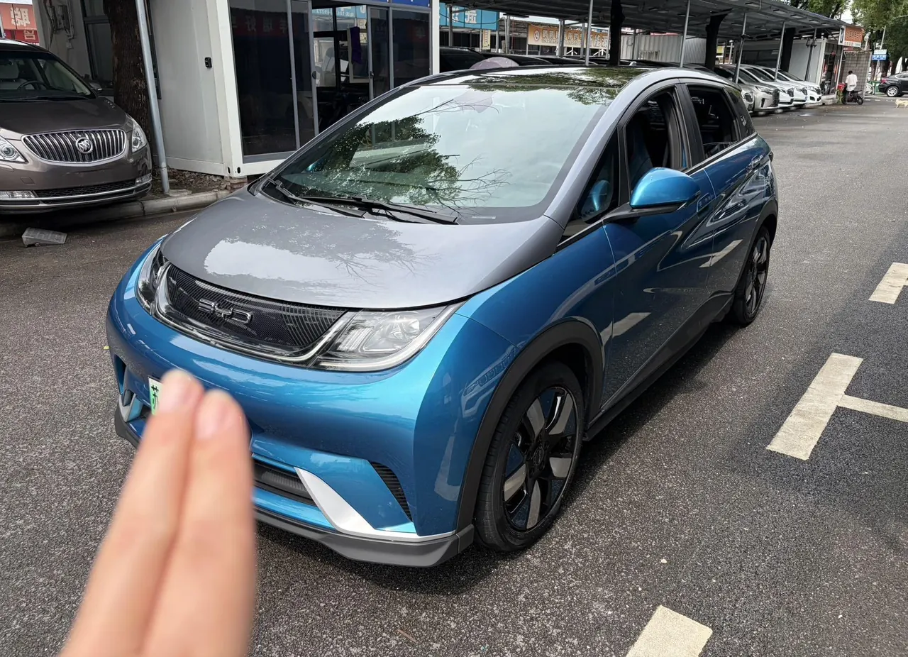 Open image lightbox: BYD 2021 Dolphins 401km Knight Edition Automatic Gear