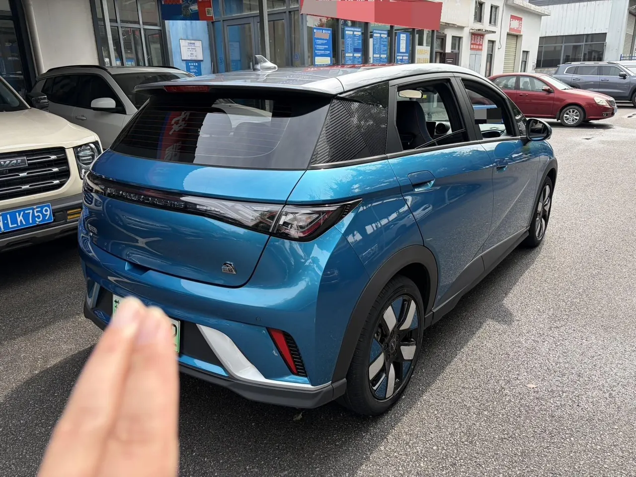 BYD 2021 Dolphins 401km Knight Edition Automatic Gear 7