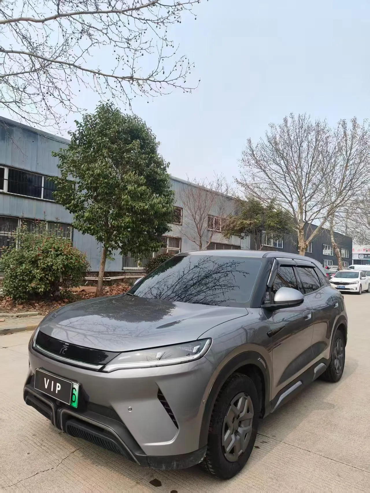 Open image lightbox: BYD 2024 Yuan UP 301KM Leading Automatic Gear