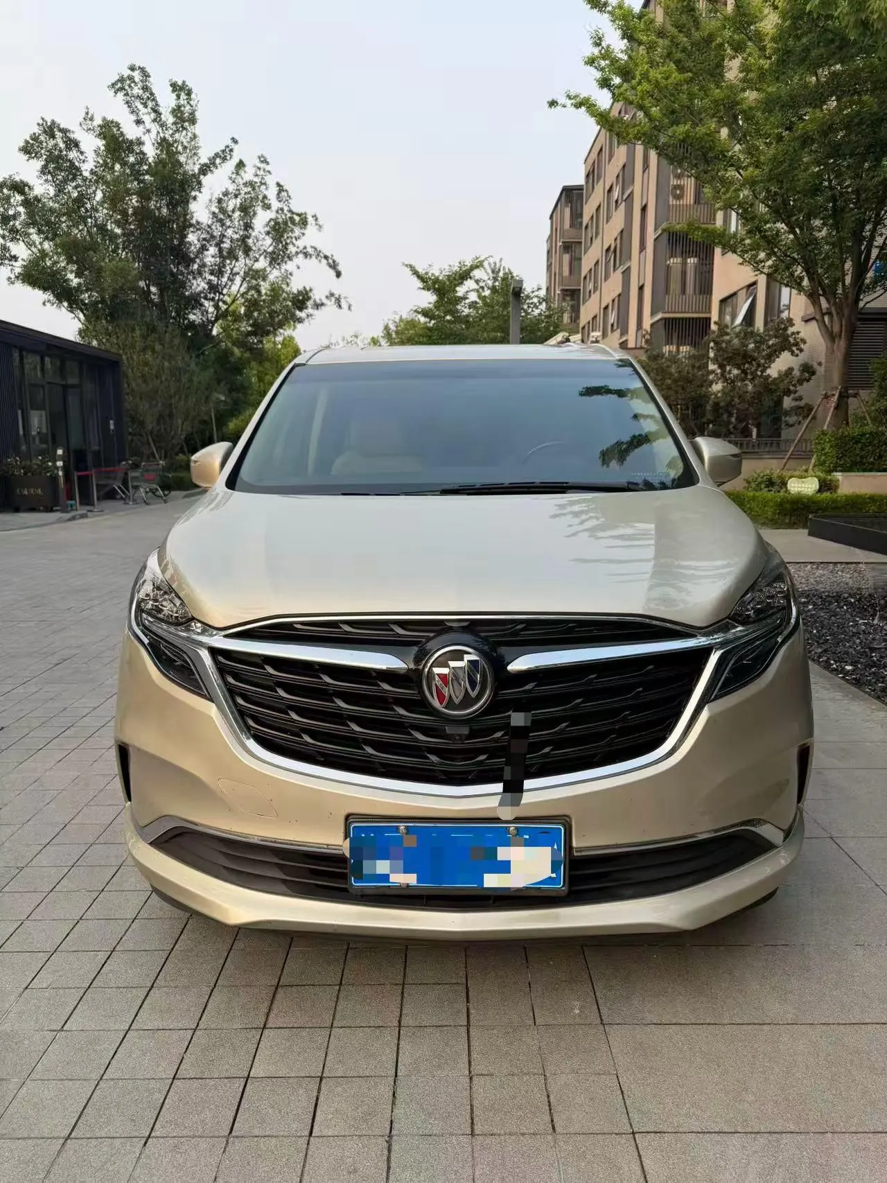 Buick 2021 GL8 ES Lu Zun 2.0T 653T Exclusive Automatic Gear 2