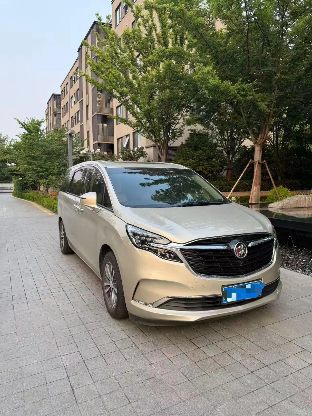 Buick 2021 GL8 ES Lu Zun 2.0T 653T Exclusive Automatic Gear 3