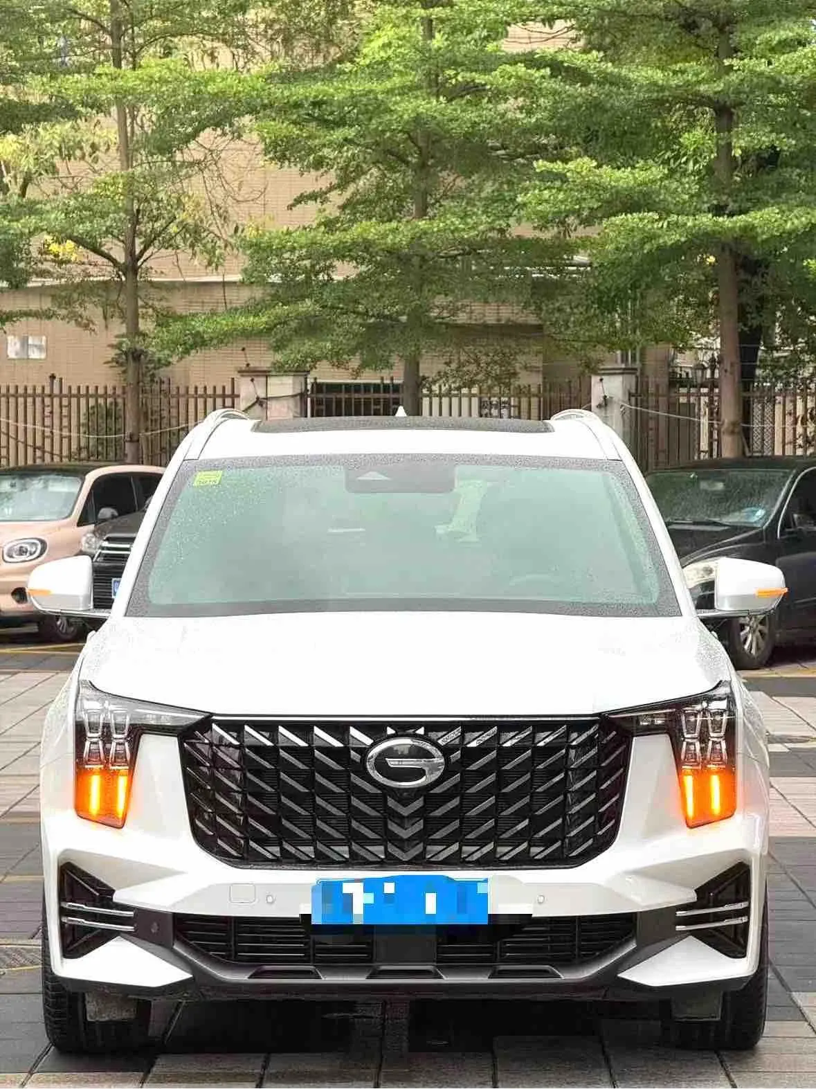 Chuanqi 2022 GS8 2.0TGDI Two-Drive Premium Edition Seven-seat Automatic Gear 2