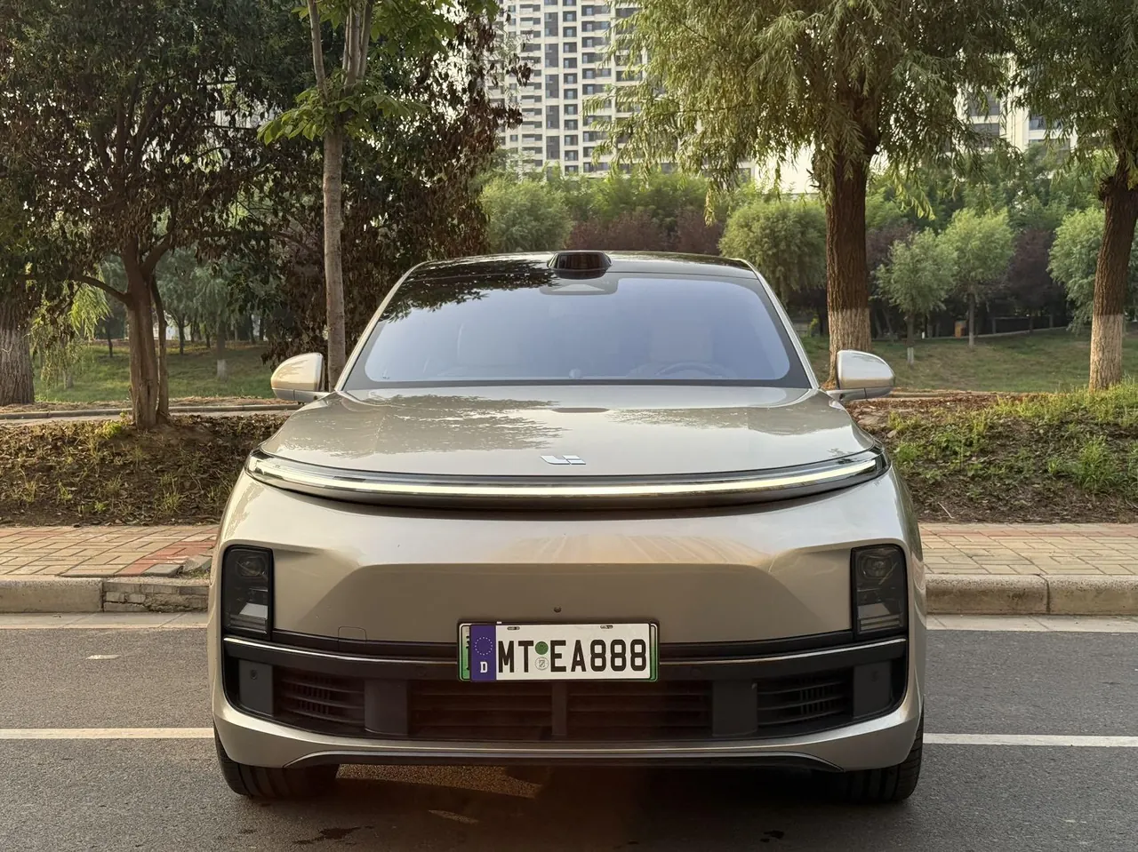 Li 2022 L9 1.5T Max Edition Automatic Gear 2