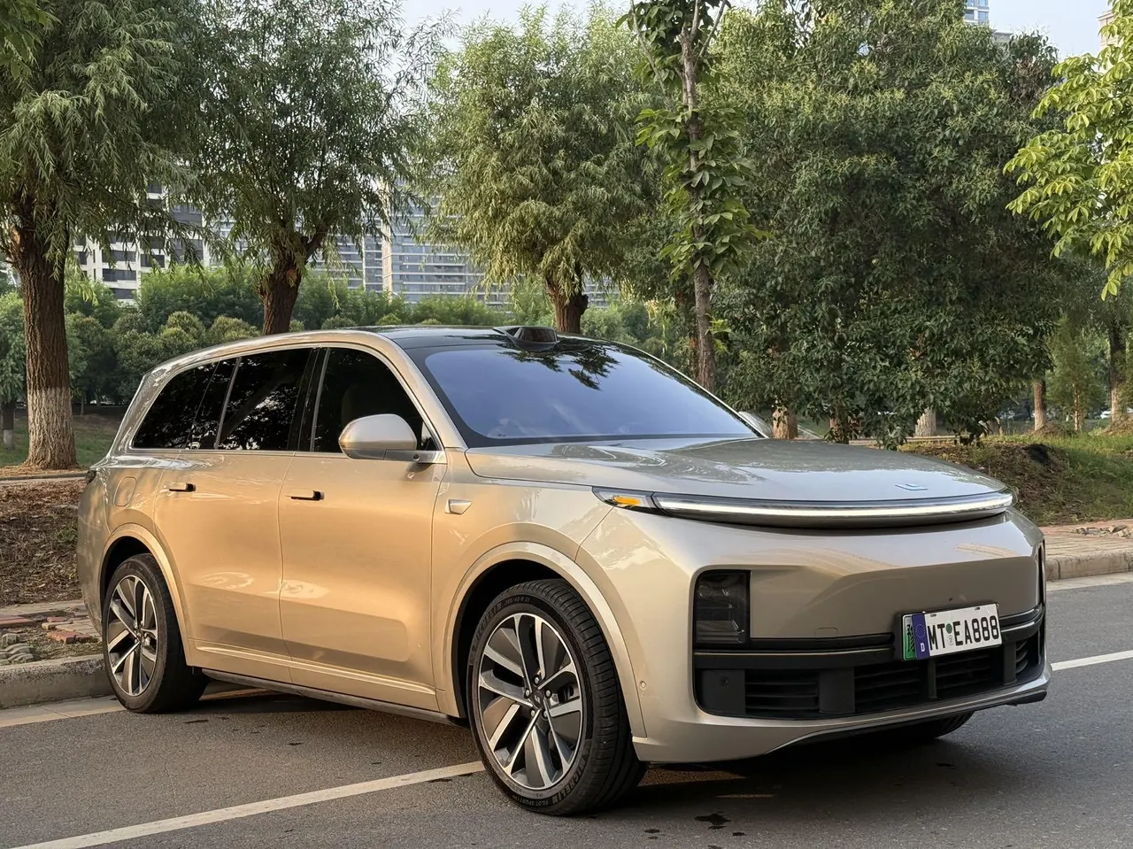 Li 2022 L9 1.5T Max Edition Automatic Gear 3