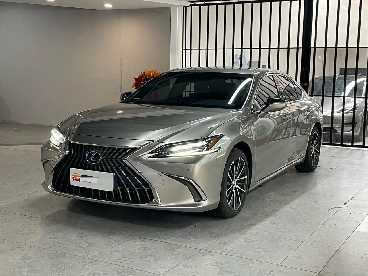 打开图片灯箱:Lexus ES (Imported) 2021 ES300h 2.5 Stepless Premium Edition Automatic Gear