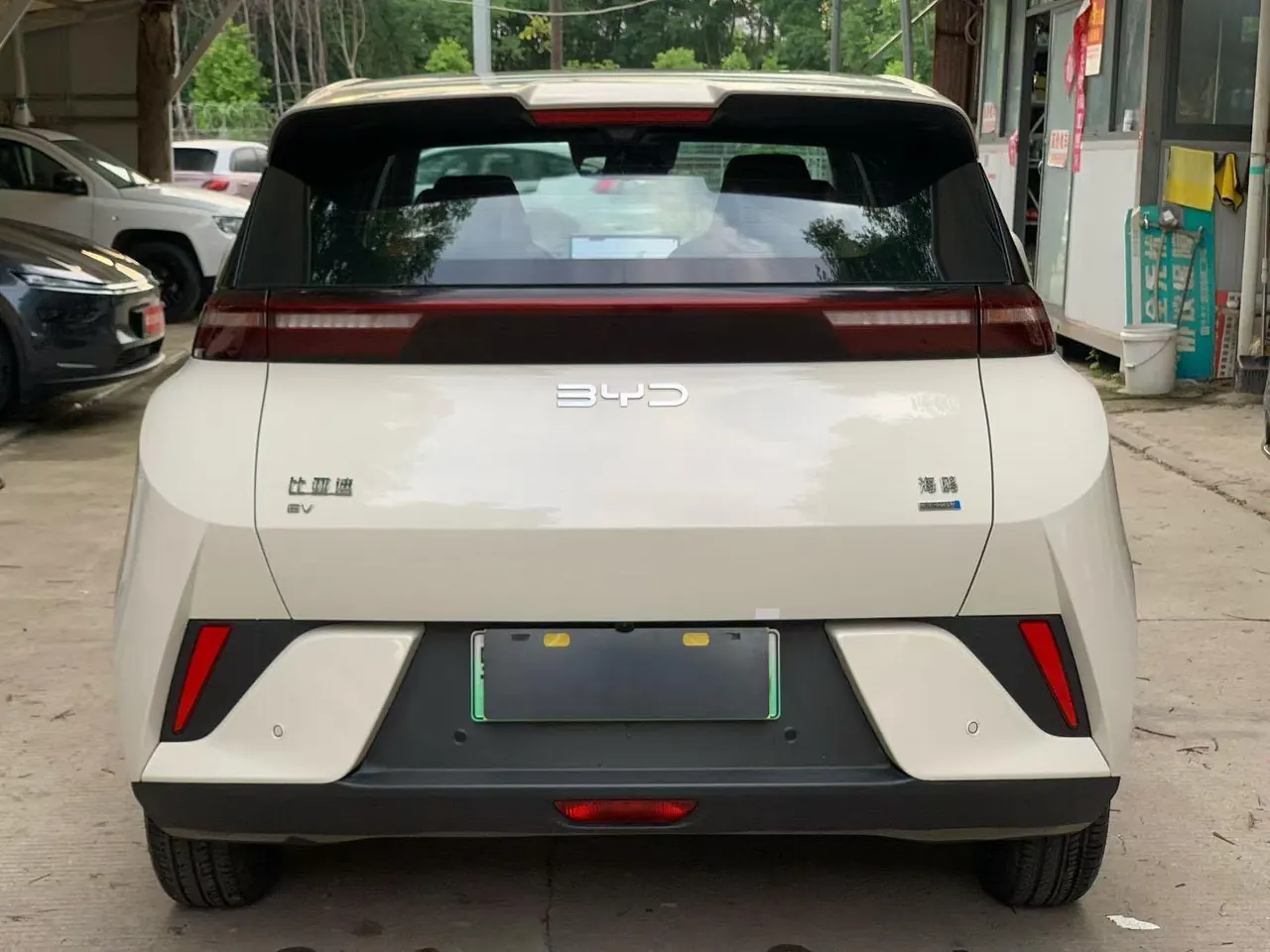 BYD 2025 Seagull Smart Driving Edition 305km Free Edition Automatic Gear 8