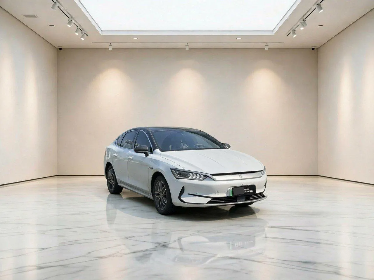 BYD 2023 Qin PLUS EV 510KM Champion Edition Exceed Automatic Gear 3