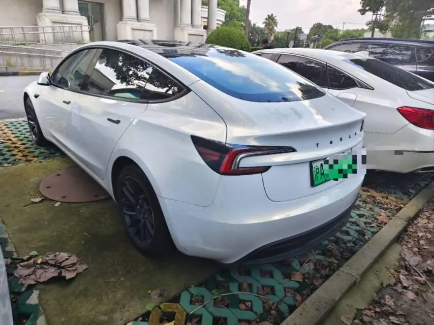 Tesla 2023 Model 3 Rejuvenation Edition Rear Wheel Drive Automatic Transmission 2