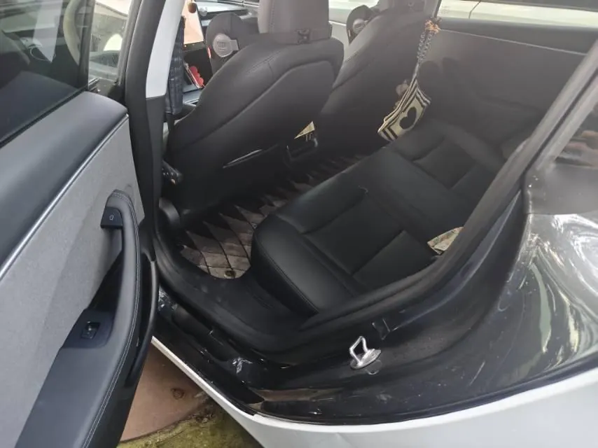 Tesla 2023 Model 3 Rejuvenation Edition Rear Wheel Drive Automatic Transmission 4