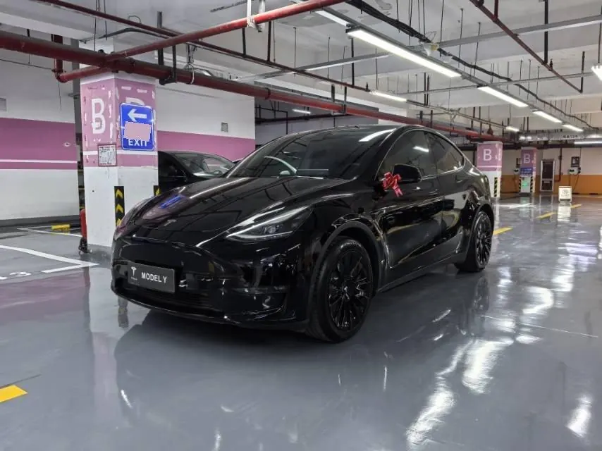 Tesla 2021 Model Y Standard Endurance Rear Drive Automatic Gear - View 1