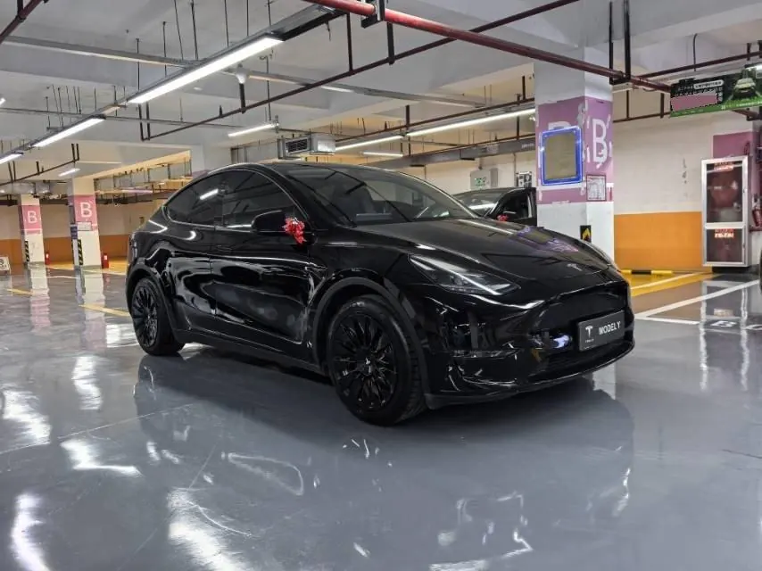 Tesla 2021 Model Y Standard Endurance Rear Drive Automatic Gear 2