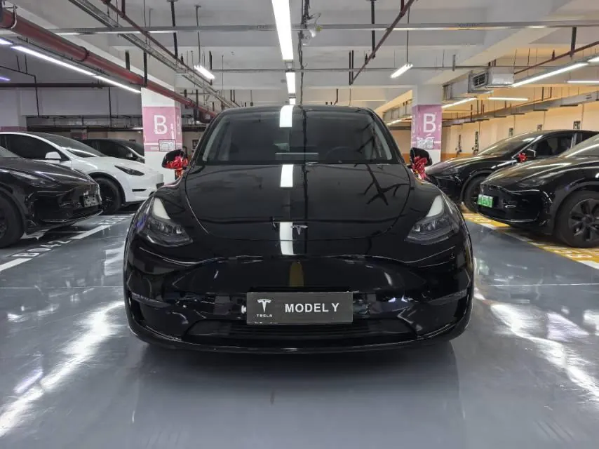 Tesla 2021 Model Y Standard Endurance Rear Drive Automatic Gear 3