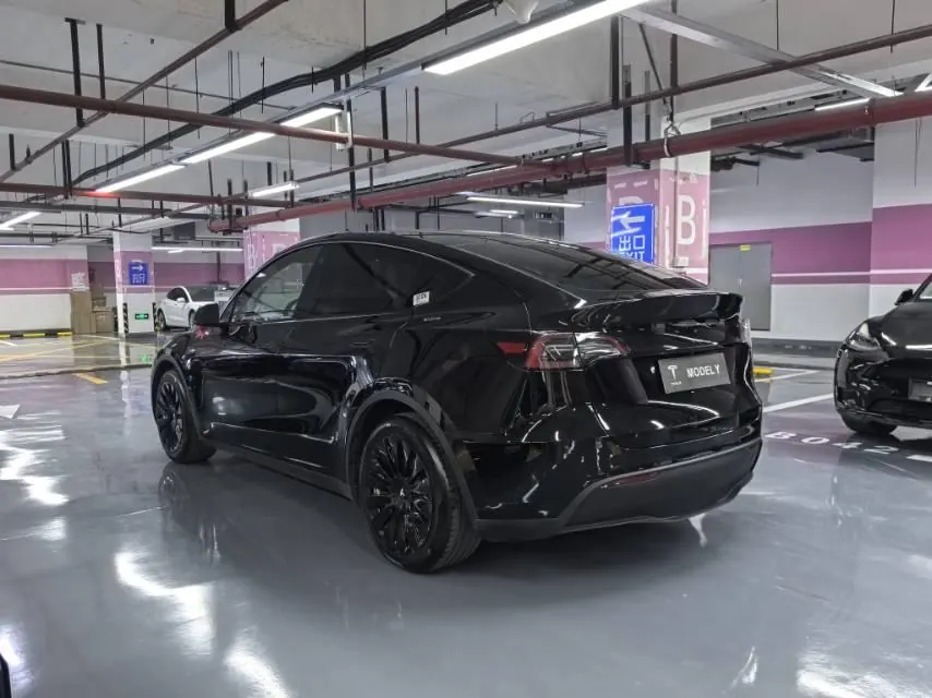 Tesla 2021 Model Y Standard Endurance Rear Drive Automatic Gear 7