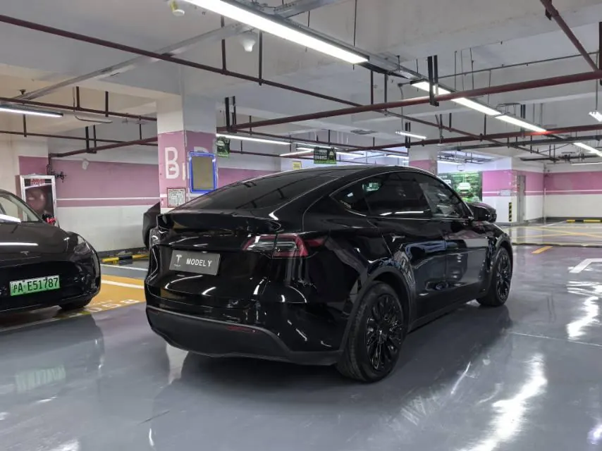 Tesla 2021 Model Y Standard Endurance Rear Drive Automatic Gear 8