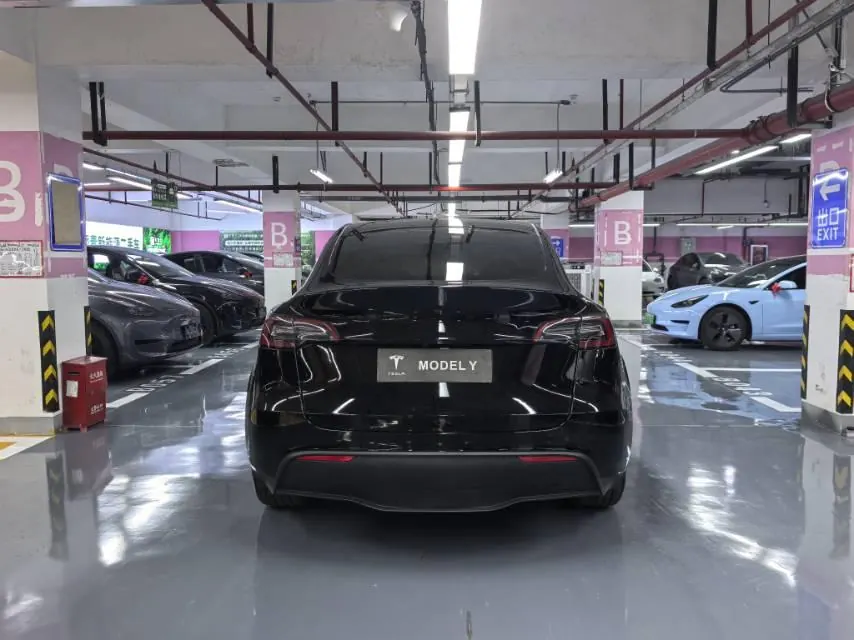 Tesla 2021 Model Y Standard Endurance Rear Drive Automatic Gear 9
