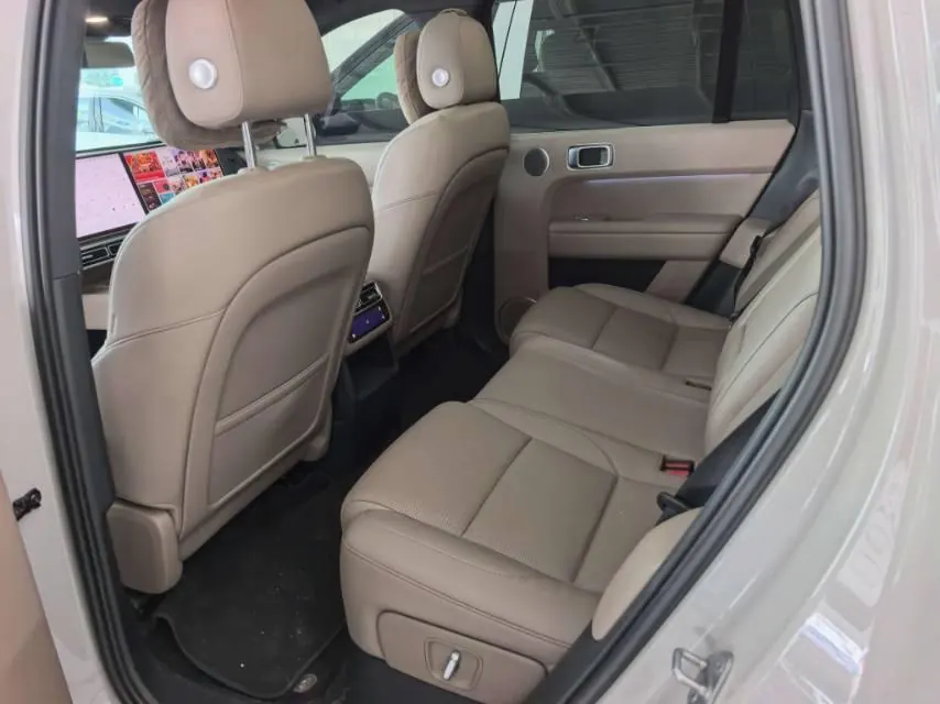 Li 2025 L6 Pro Intelligent Rejuvenation Automatic Gear 3