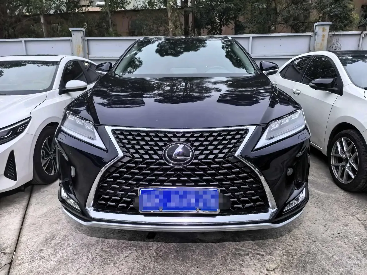 Lexus RX (Imported) 2020 RX300 2.0T Four-wheel Drive Elegant Edition (Modified) Automatic Gear 2
