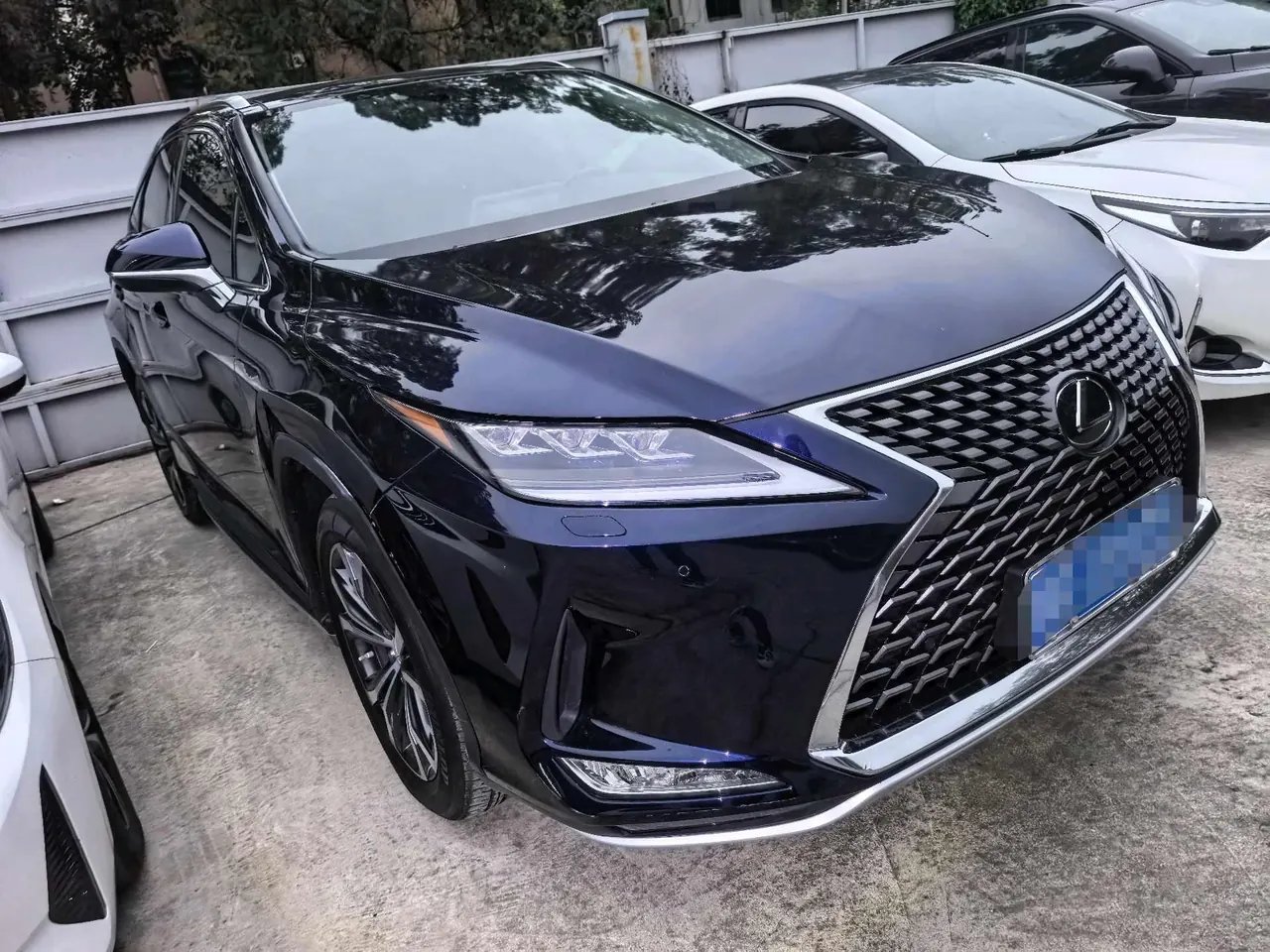 Lexus RX (Imported) 2020 RX300 2.0T Four-wheel Drive Elegant Edition (Modified) Automatic Gear 3
