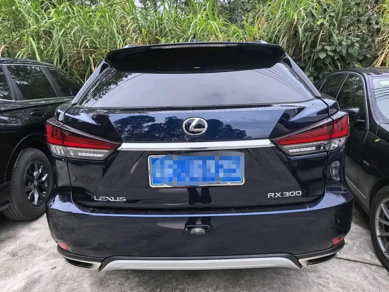 Lexus RX (Imported) 2020 RX300 2.0T Four-wheel Drive Elegant Edition (Modified) Automatic Gear 5