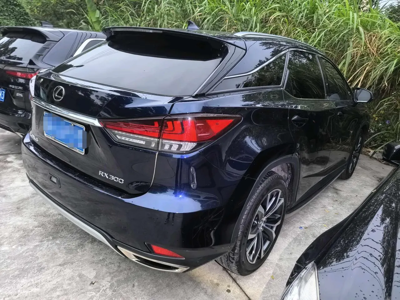 Lexus RX (Imported) 2020 RX300 2.0T Four-wheel Drive Elegant Edition (Modified) Automatic Gear 6