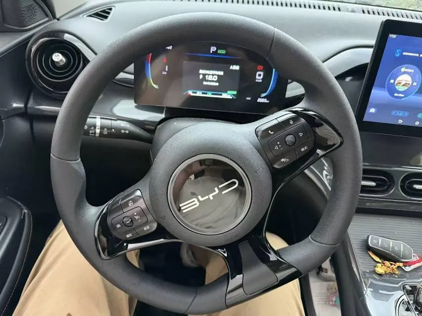 BYD 2023 e2 Comfortable Automatic Gear 6