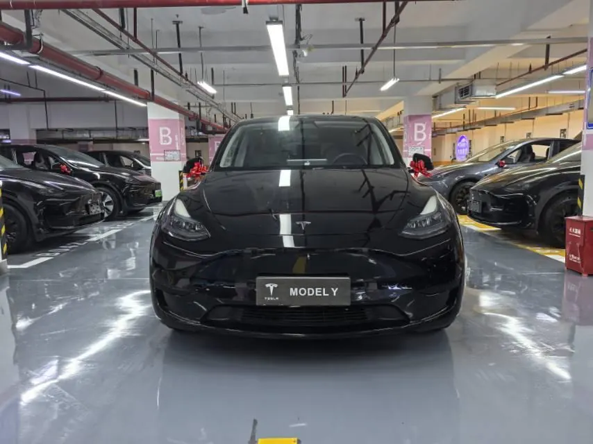 Tesla 2022 Model Y rear-wheel drive version (facelift) automatic gear 2