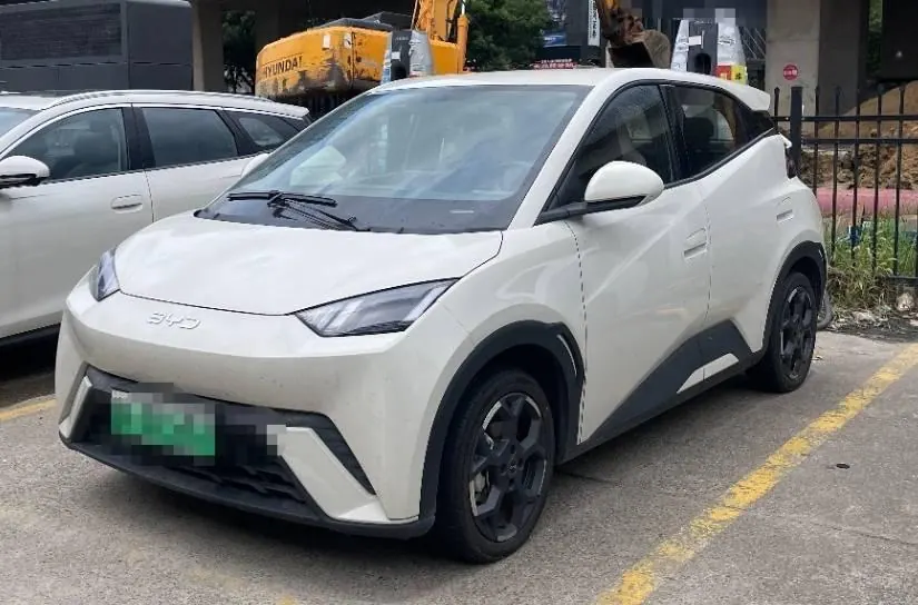 BYD 2024 Seagull Glory Edition 405km Flying Edition Automatic Gear - View 1