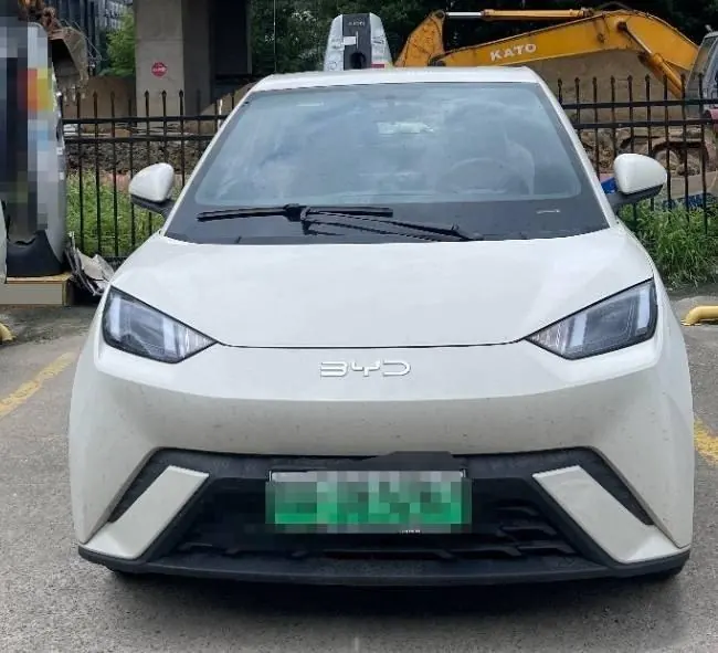 BYD 2024 Seagull Glory Edition 405km Flying Edition Automatic Gear 2