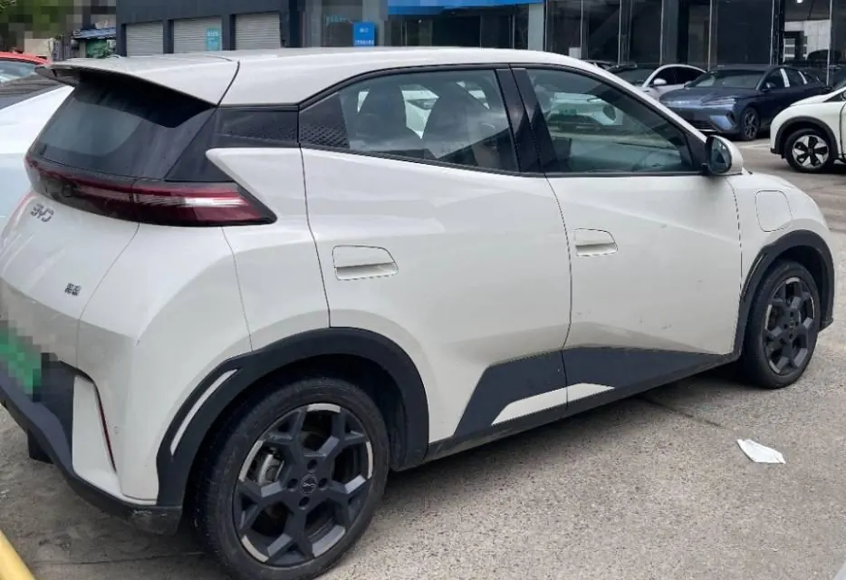 BYD 2024 Seagull Glory Edition 405km Flying Edition Automatic Gear 3