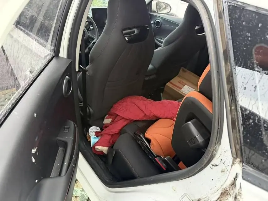 BYD 2023 e2 Comfortable Automatic Gear 4