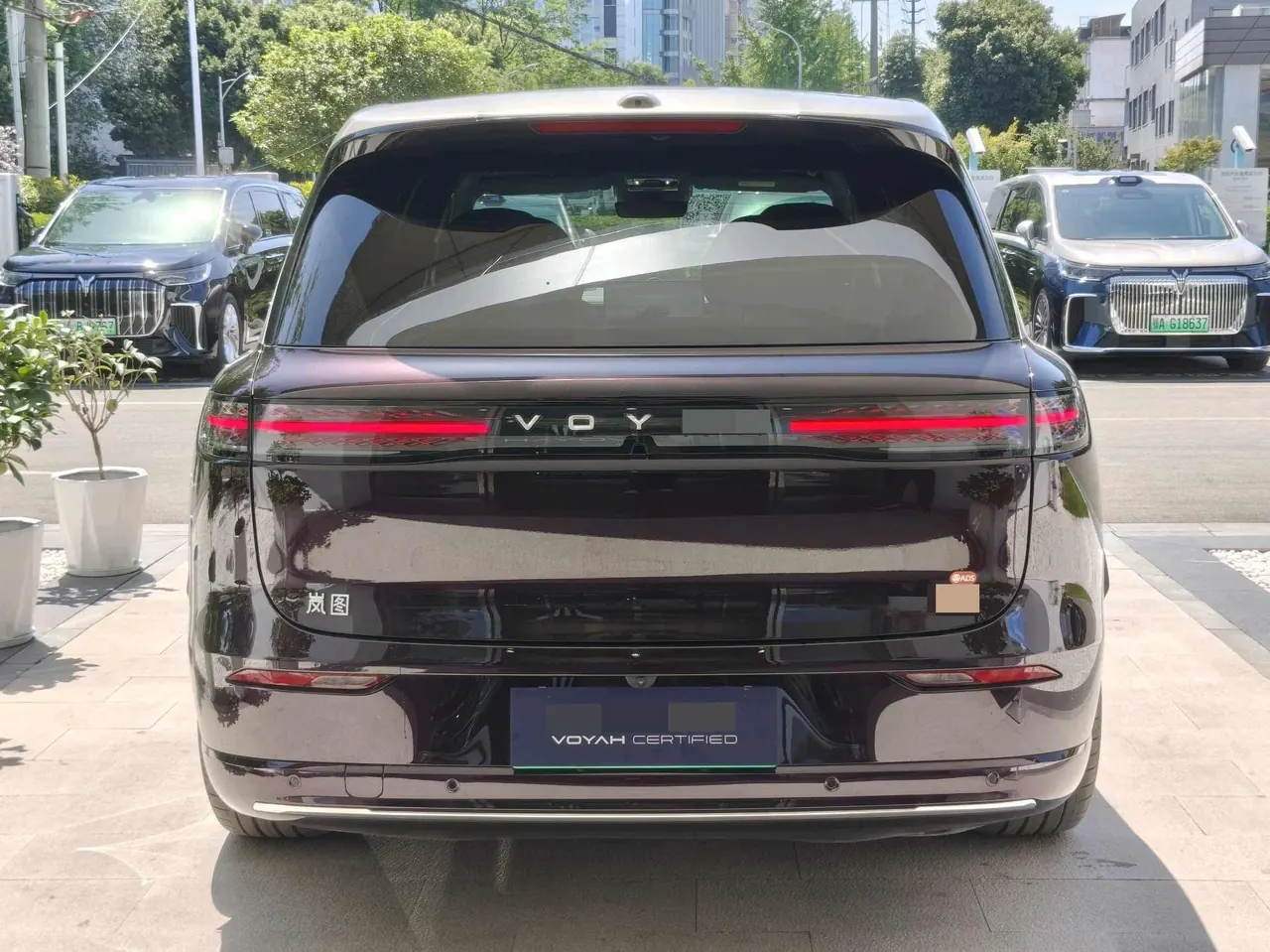 Voyah 2026 Taishan Max Automatic 9